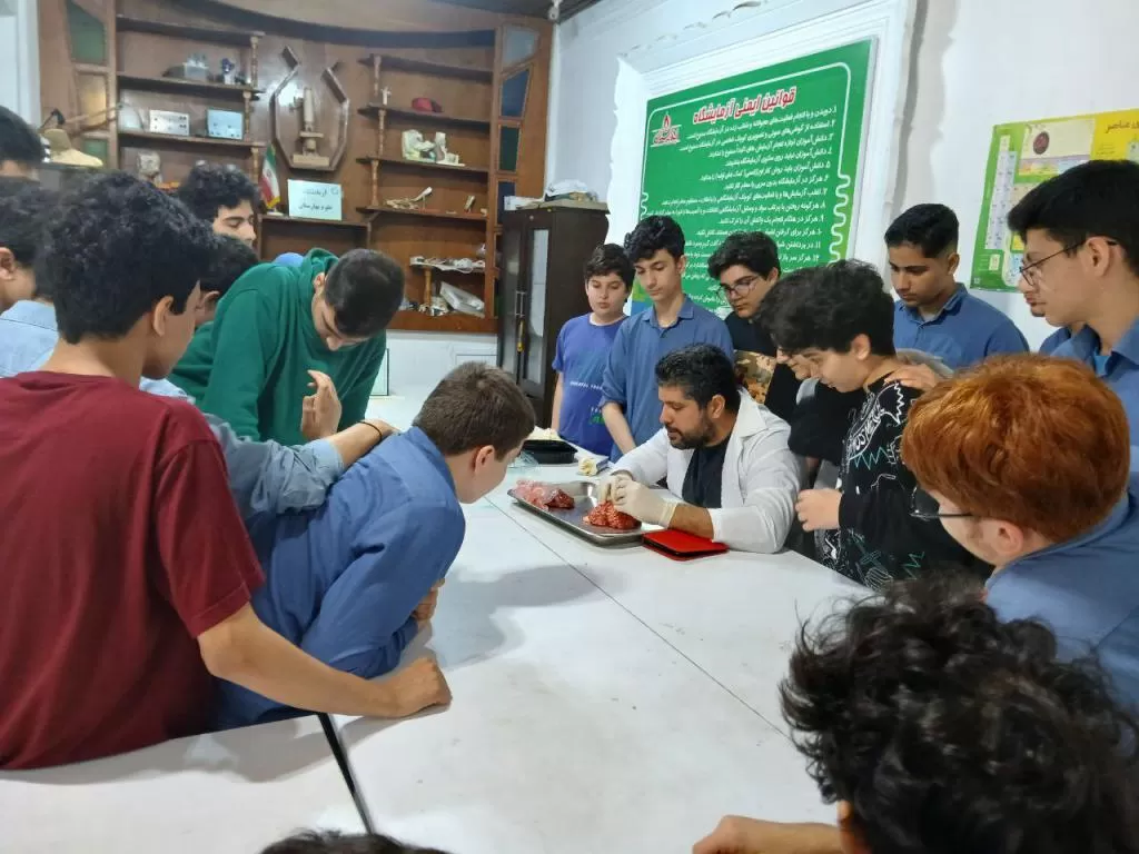 کلاس تشریح مغز